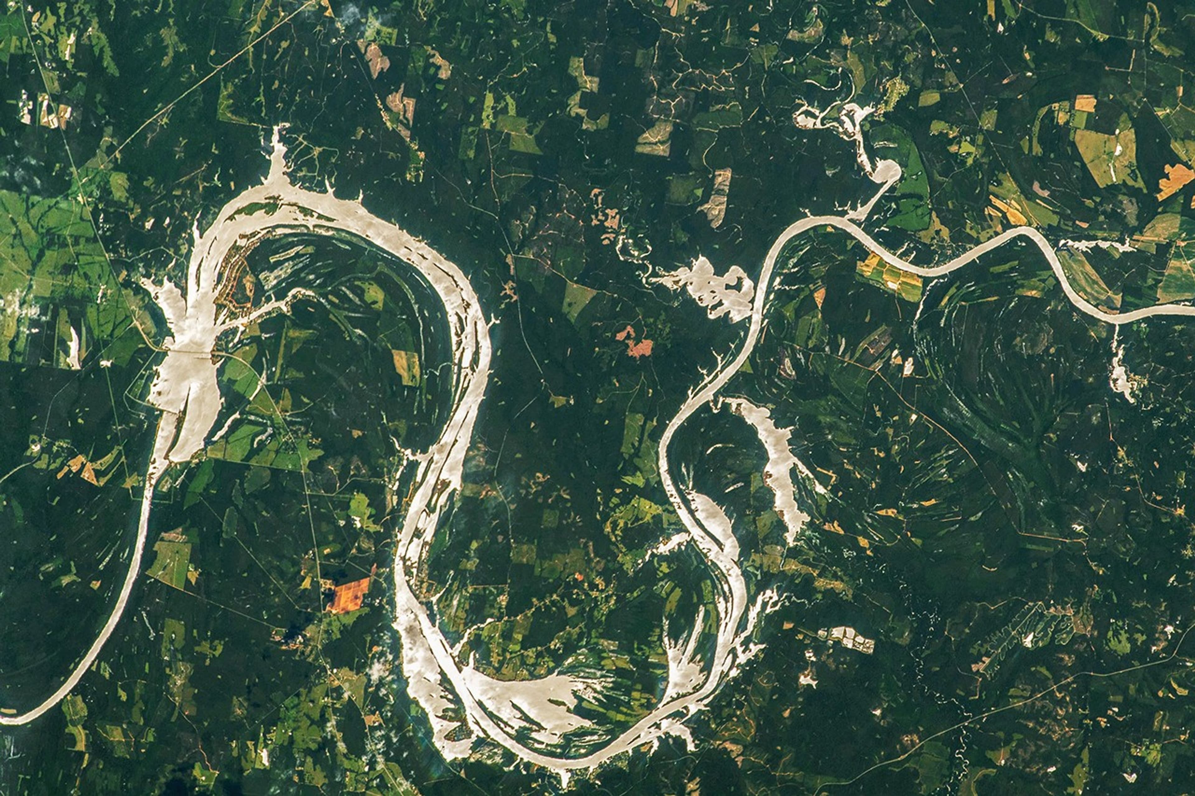 Aerial view of the Alabama River showing meanders and floodplain areas