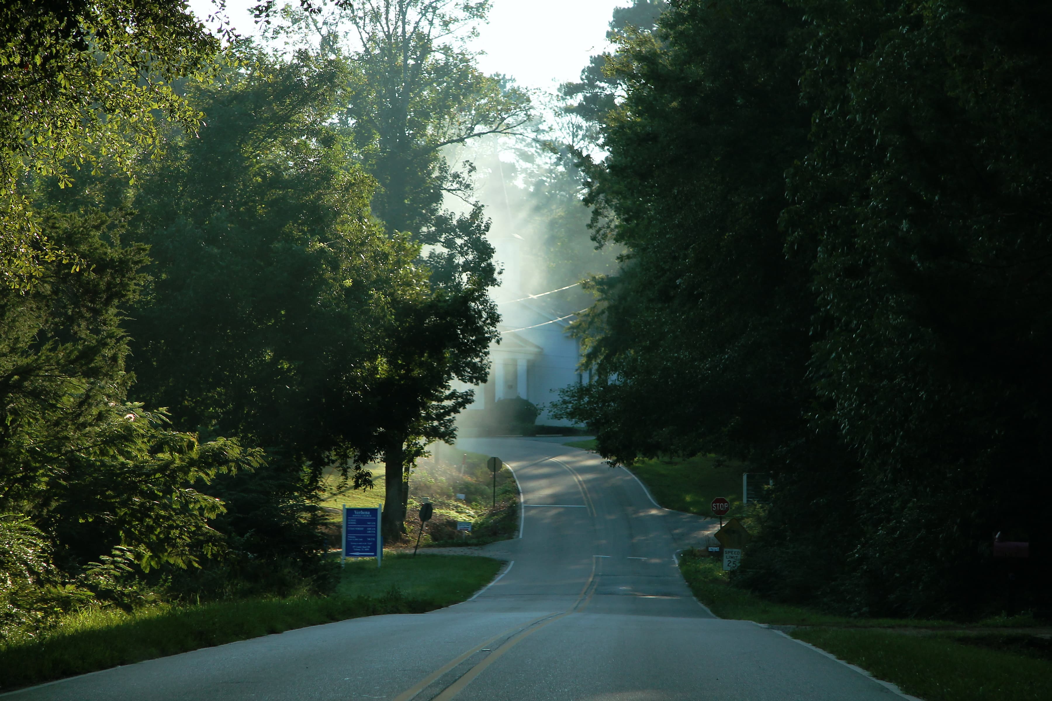 Rural Alabama county road in morning mist near Verbena, Chilton County