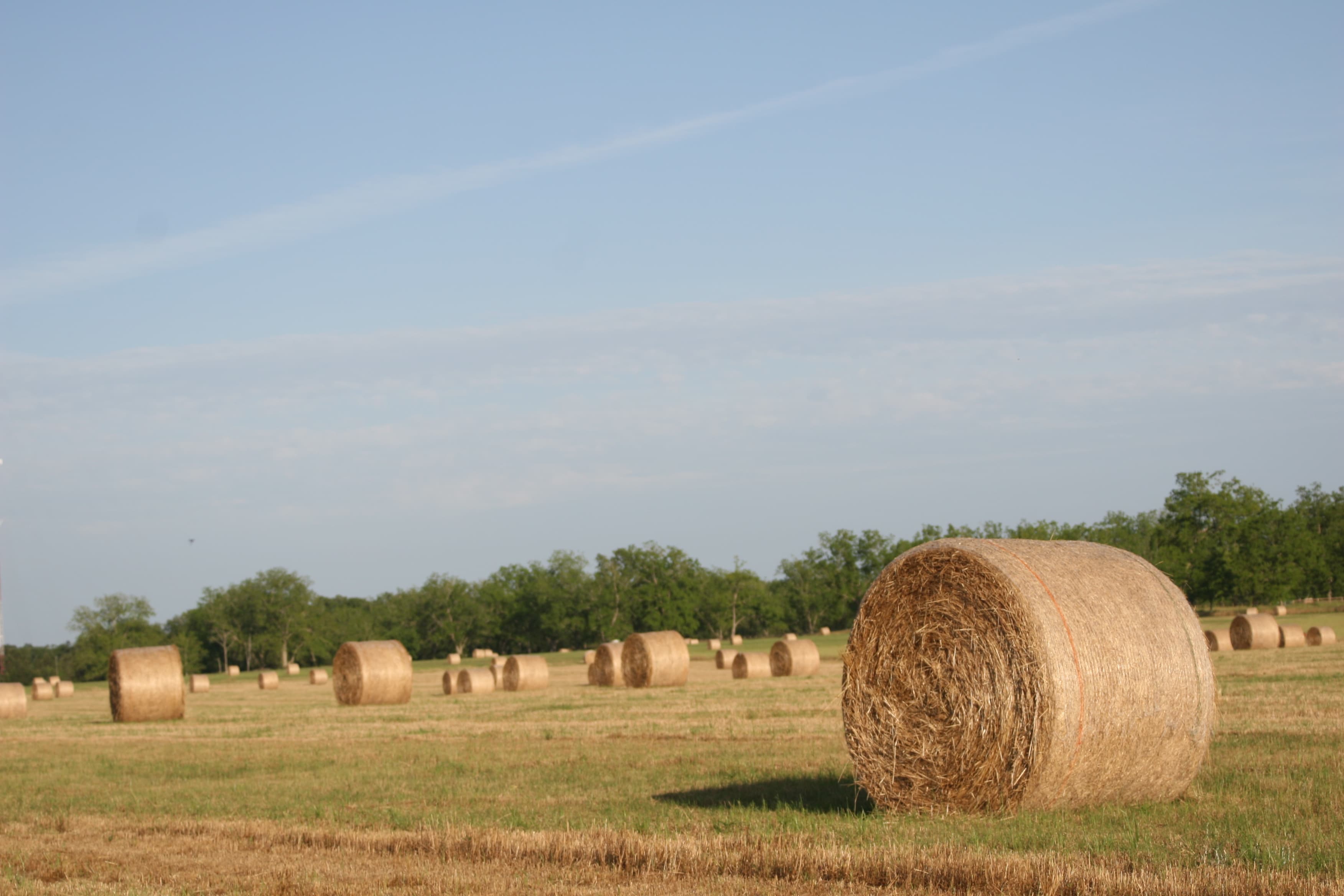 Rural Alabama farmland with hay bales and open fields in Baldwin County