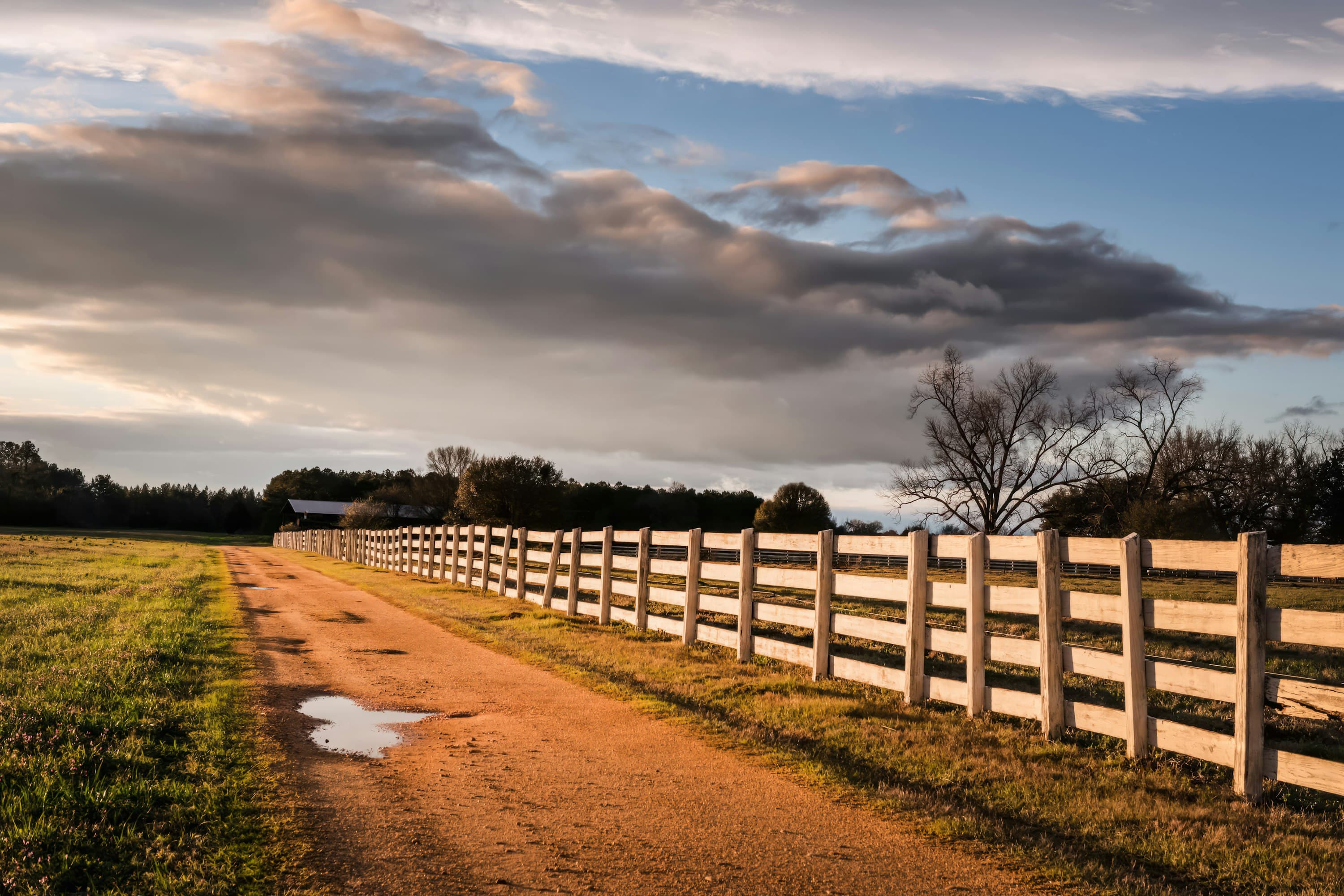Rural Alabama farmland with a dirt road, white fence, and barn in the background