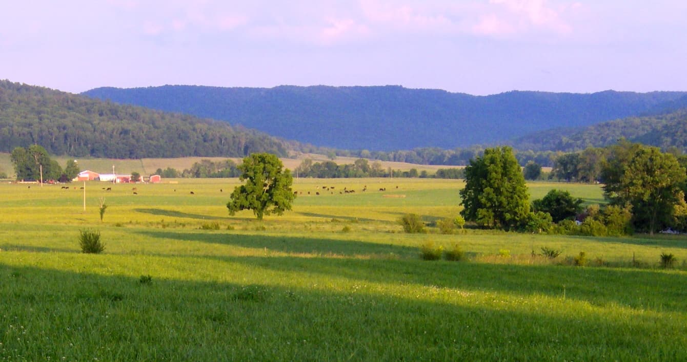 Cumberland Plateau landscape in Fentress County, Tennessee