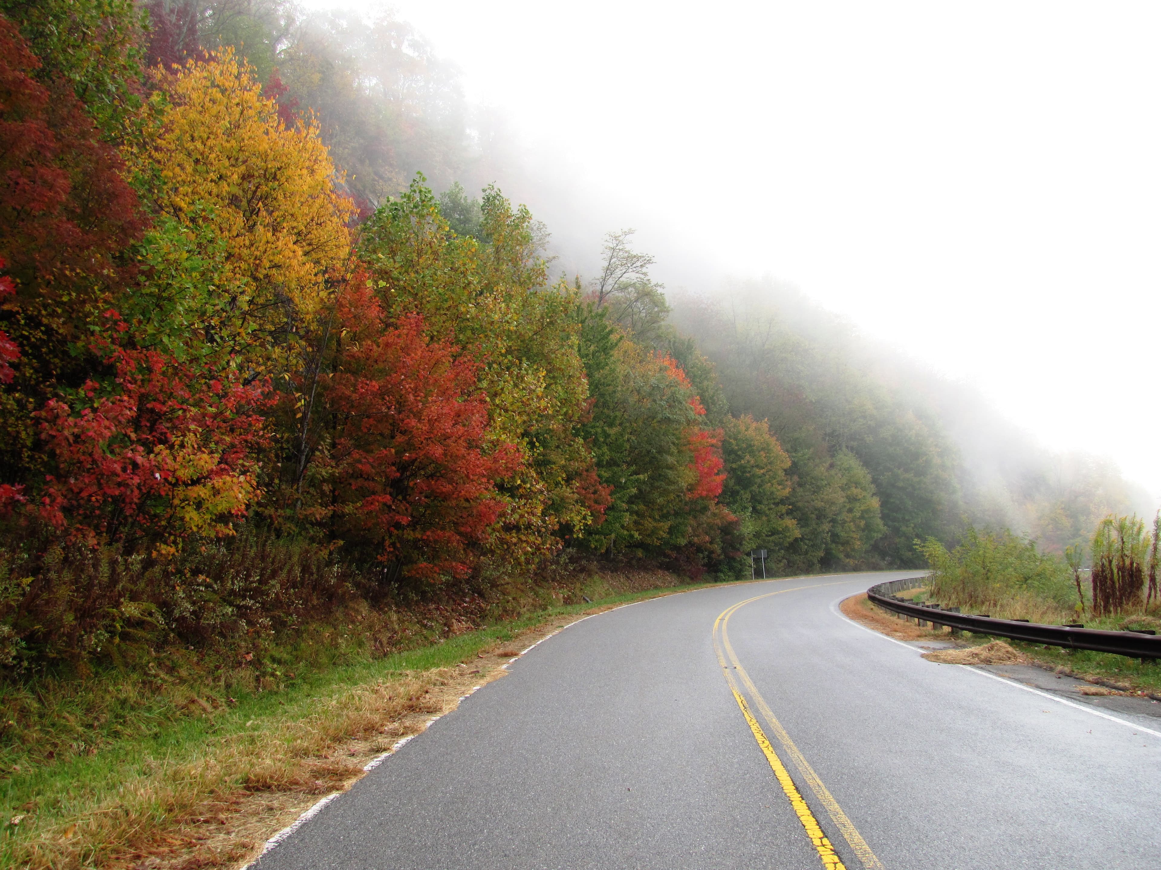 The Cherohala Skyway winding through autumn foliage in Monroe County, Tennessee