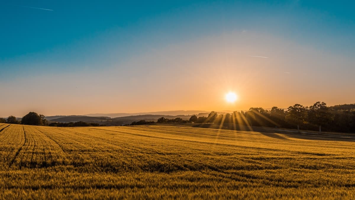Rolling green farmland and rural fields typical of Tennessee countryside