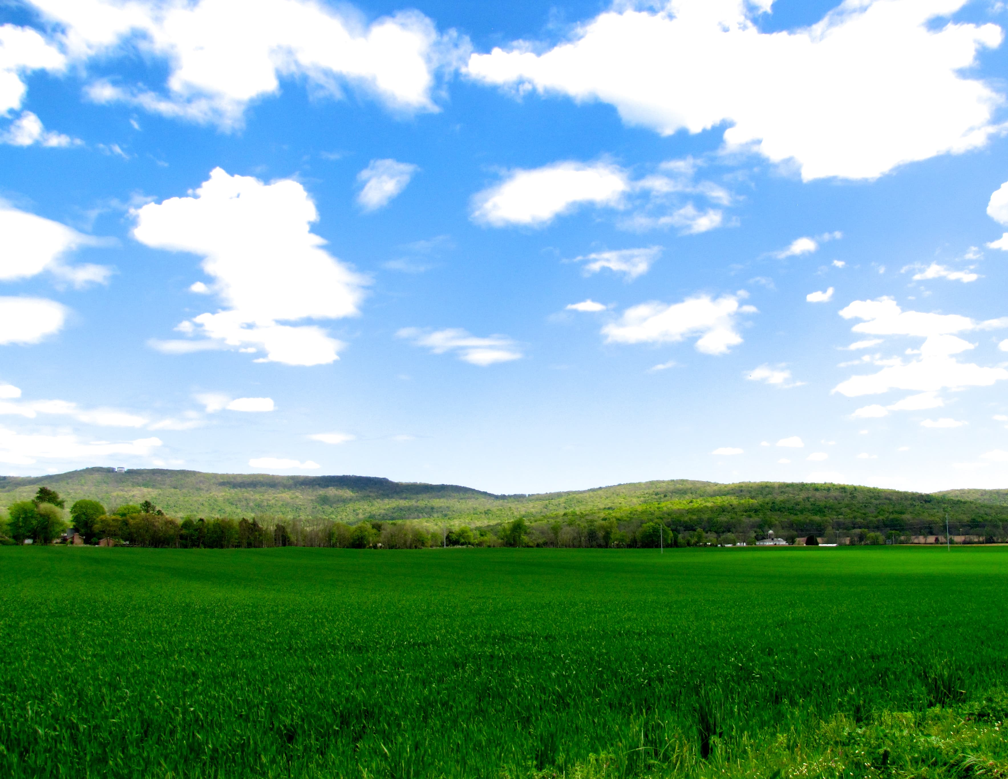 Green farm fields in Franklin County, Tennessee with rolling hills in the background