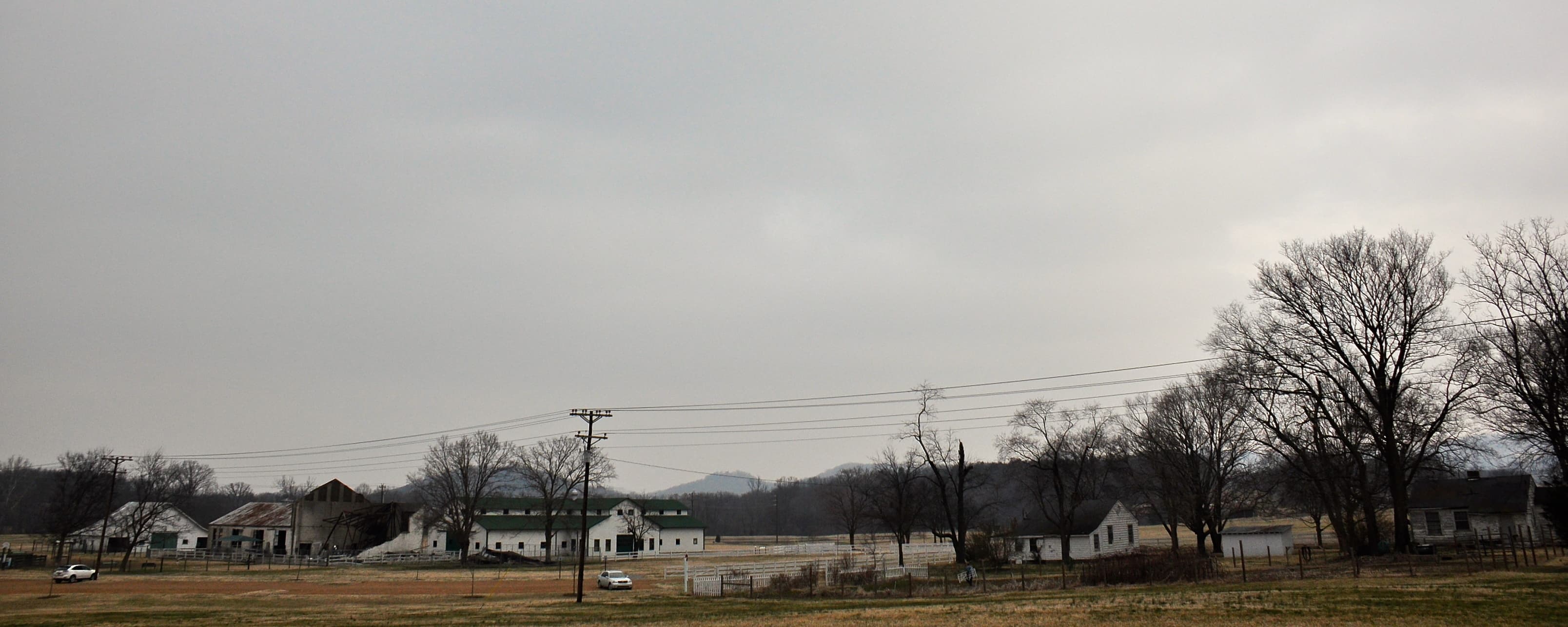 Tennessee Walking Horse farm with white fences and green pastures in Middle Tennessee