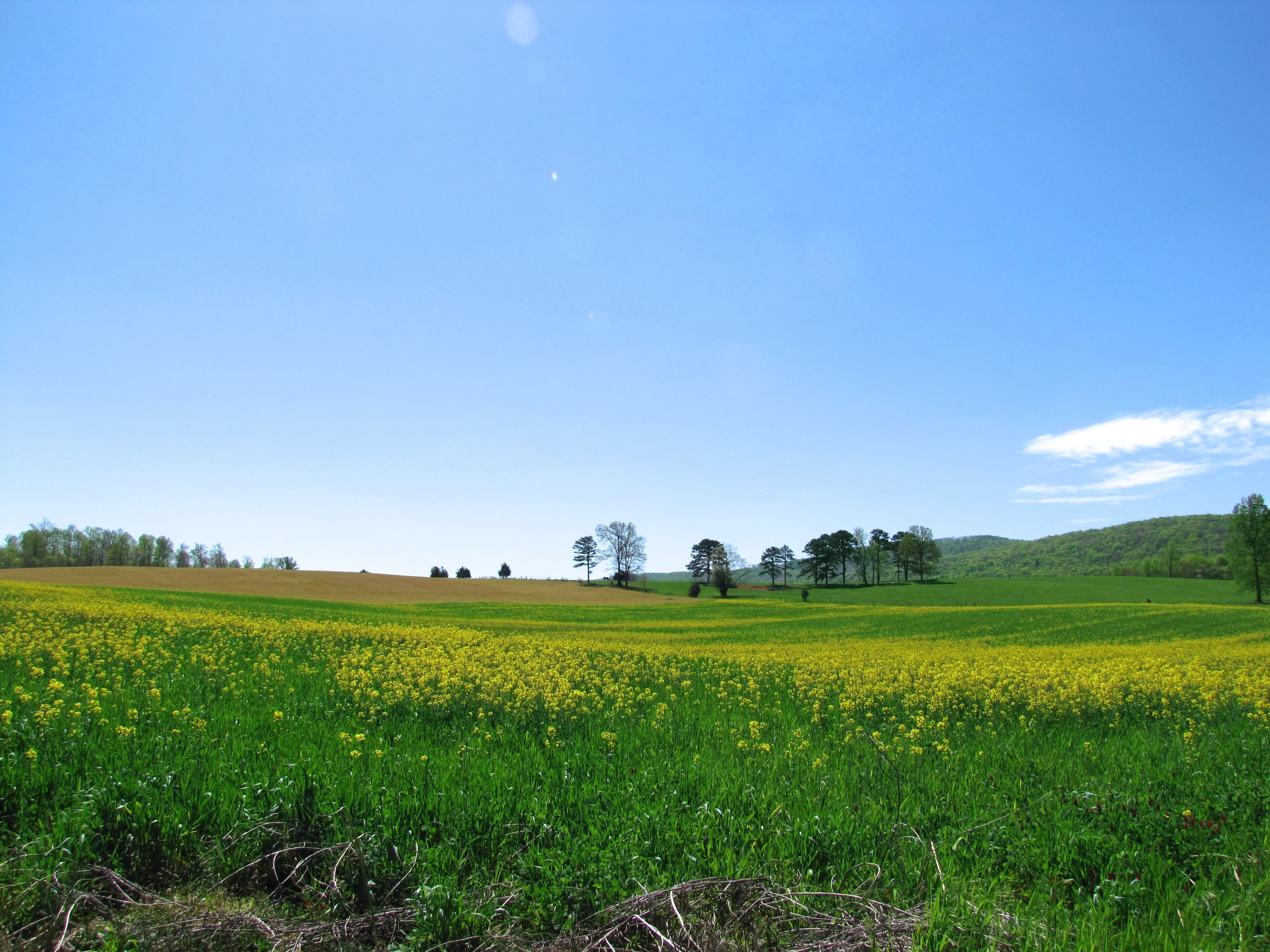 Rolling farmland and fields along Hillsboro Highway in Coffee County, Tennessee
