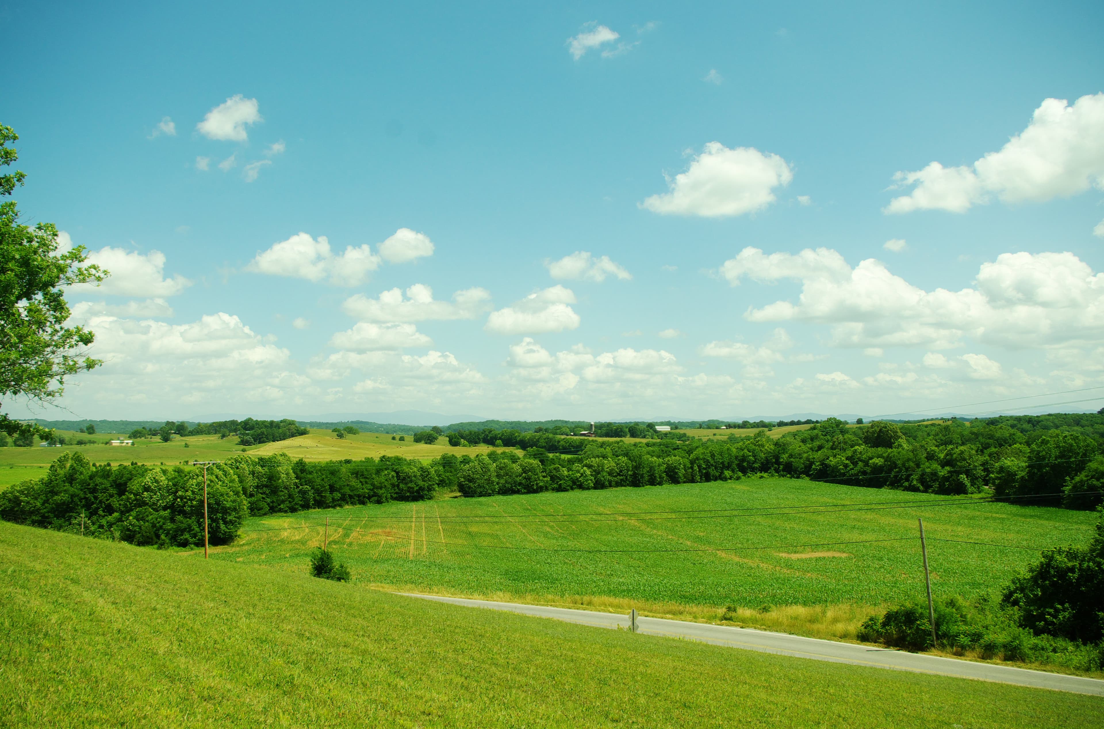 Farm fields near Mohawk in western Greene County, Tennessee, with open agricultural land and rural roads