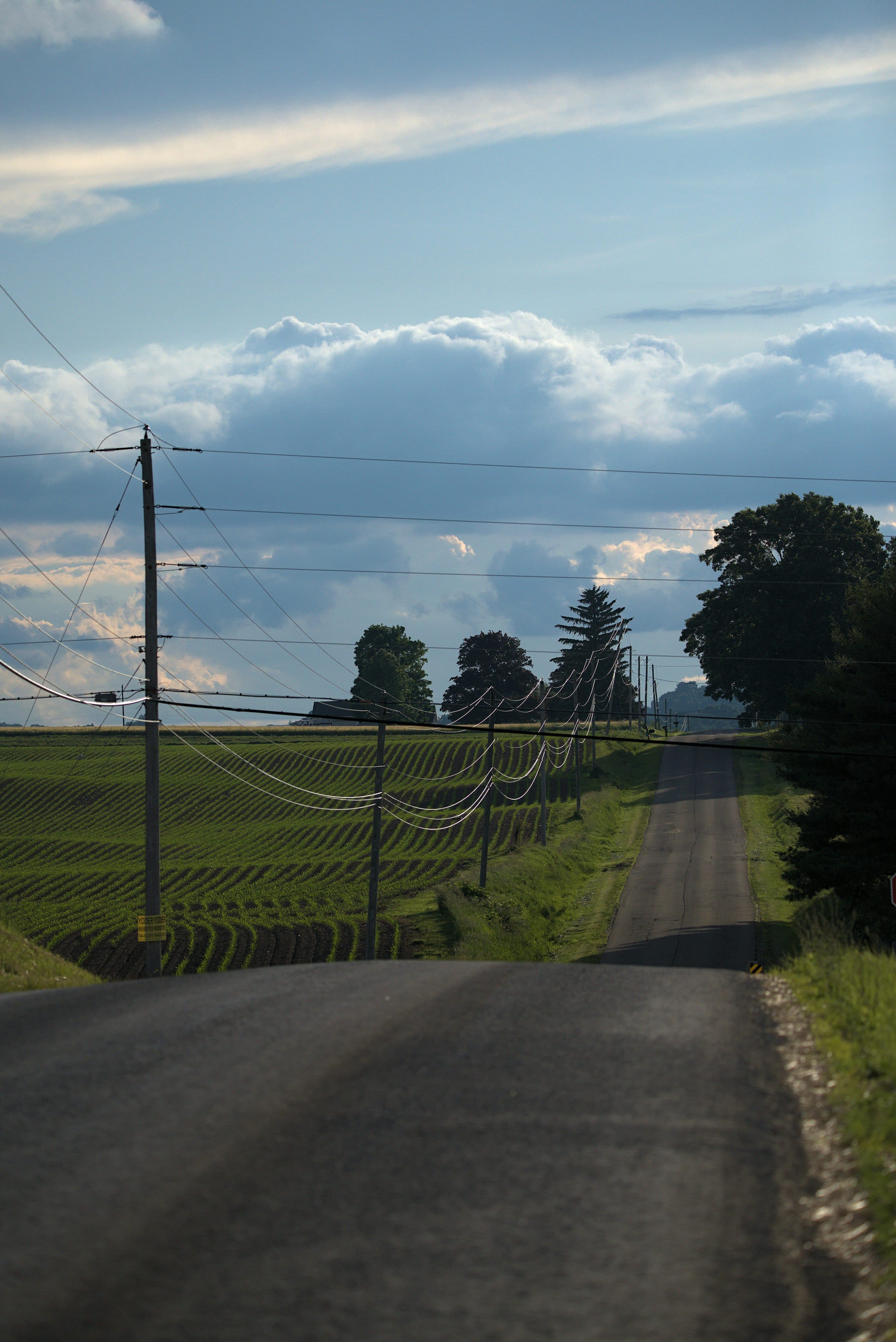 Rural road with utility poles and power lines stretching into the distance through Alabama countryside